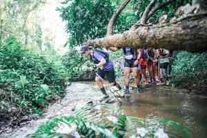 BIB: 
                            <button type="button" onclick="openModal(25467537)" class="btn btn-primary btn-sm float-right btn-popup" data-toggle="modal" data-target=".modal-high-quality">
                        <i class="fas fa-shopping-cart"></i> Add to Cart
                    </button>
                                            <button type="button" onclick="isThisMe(25467537, true)" class="btn btn-success btn-sm float-right btn-popup btn-isme hidden" data-toggle="tooltip" data-placement="bottom" title="นี่คือรูปของคุณใช่ไหม คลิกที่นี่เพื่อเอาเข้าอัลบั้ม">
                        <i class="fas fa-plus"></i> Add to album
                    </button>
                    <button type="button" onclick="isThisMe(25467537, false)" class="btn btn-warning btn-sm float-right btn-popup btn-isnotme hidden">
                        <i class="fas fa-ban"></i> Remove from album
                    </button>